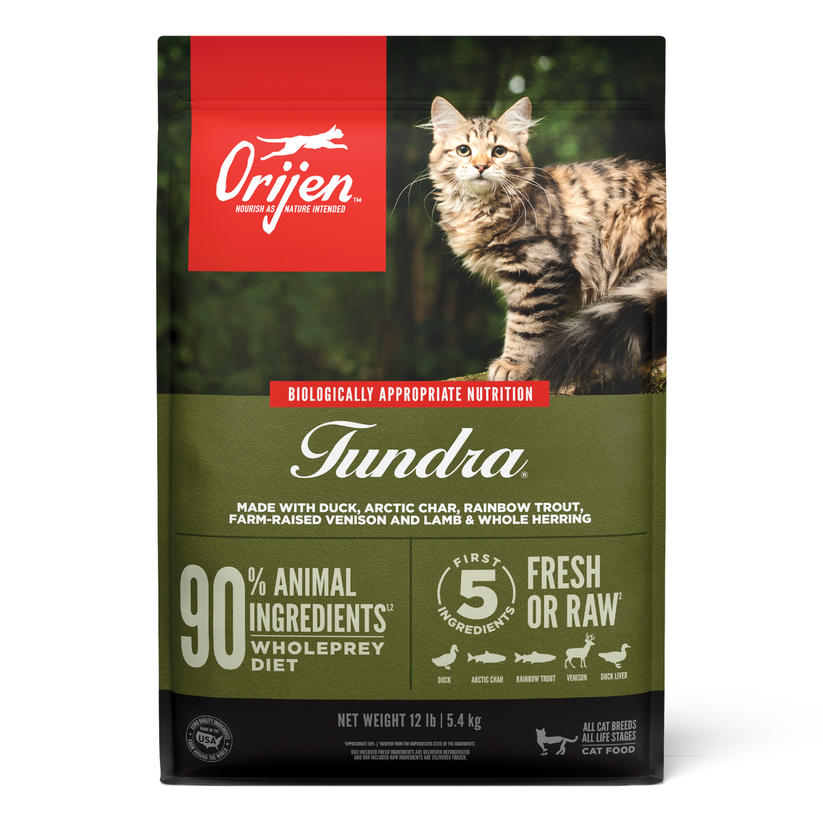 ORI Cat Tundra PDP-1A (1)